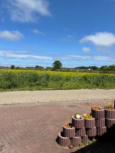 Ausblick Aussicht und Ruhe